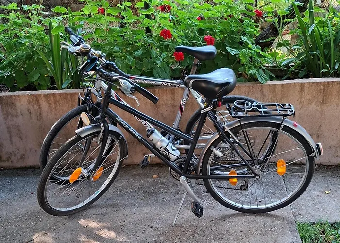 Urban Retreat Dalmatinska Podgorica